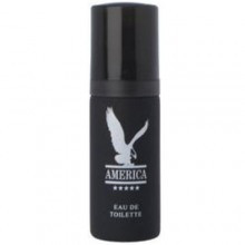 میلتون لوید آمریکا